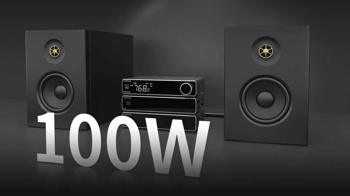 TOPPING B100 Mono Block Power Amplifier