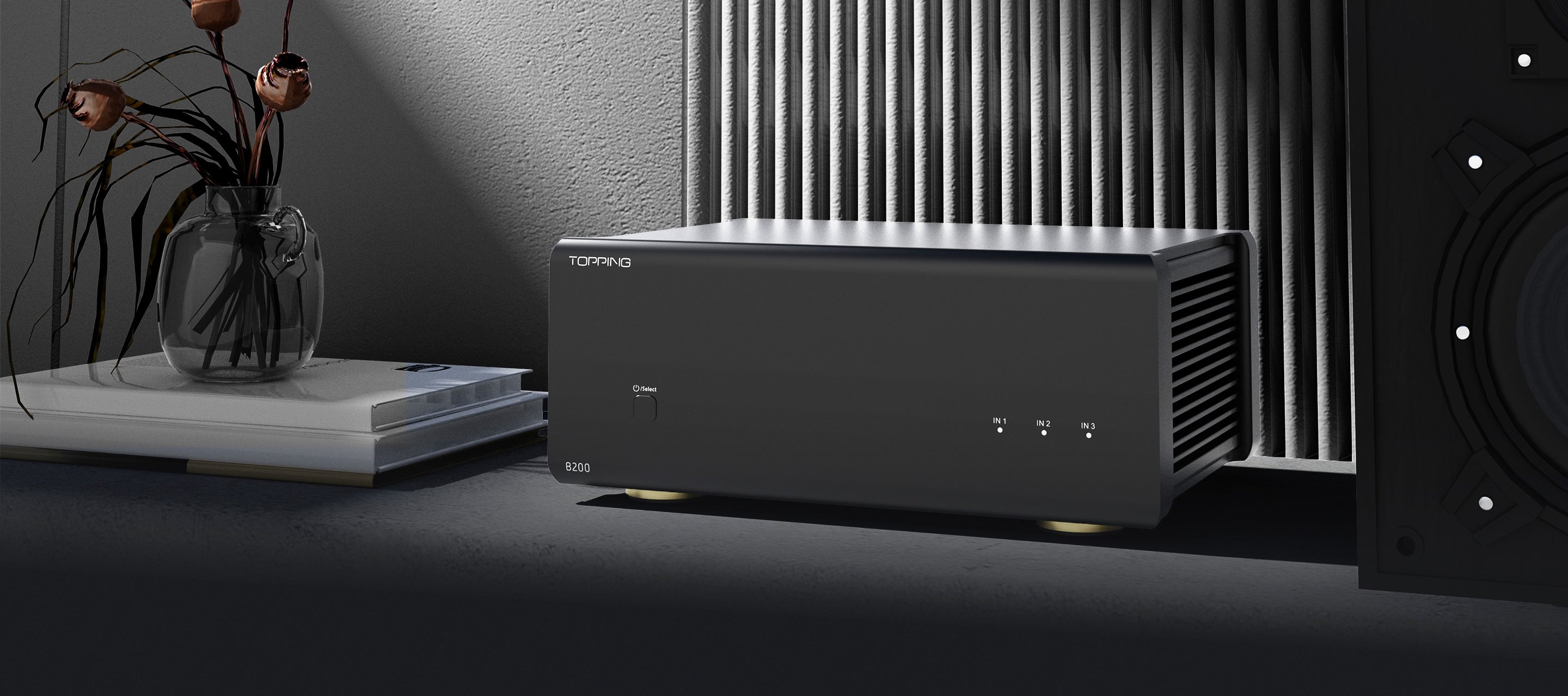 TOPPING B200 Mono Pure Power Audio Amplifier